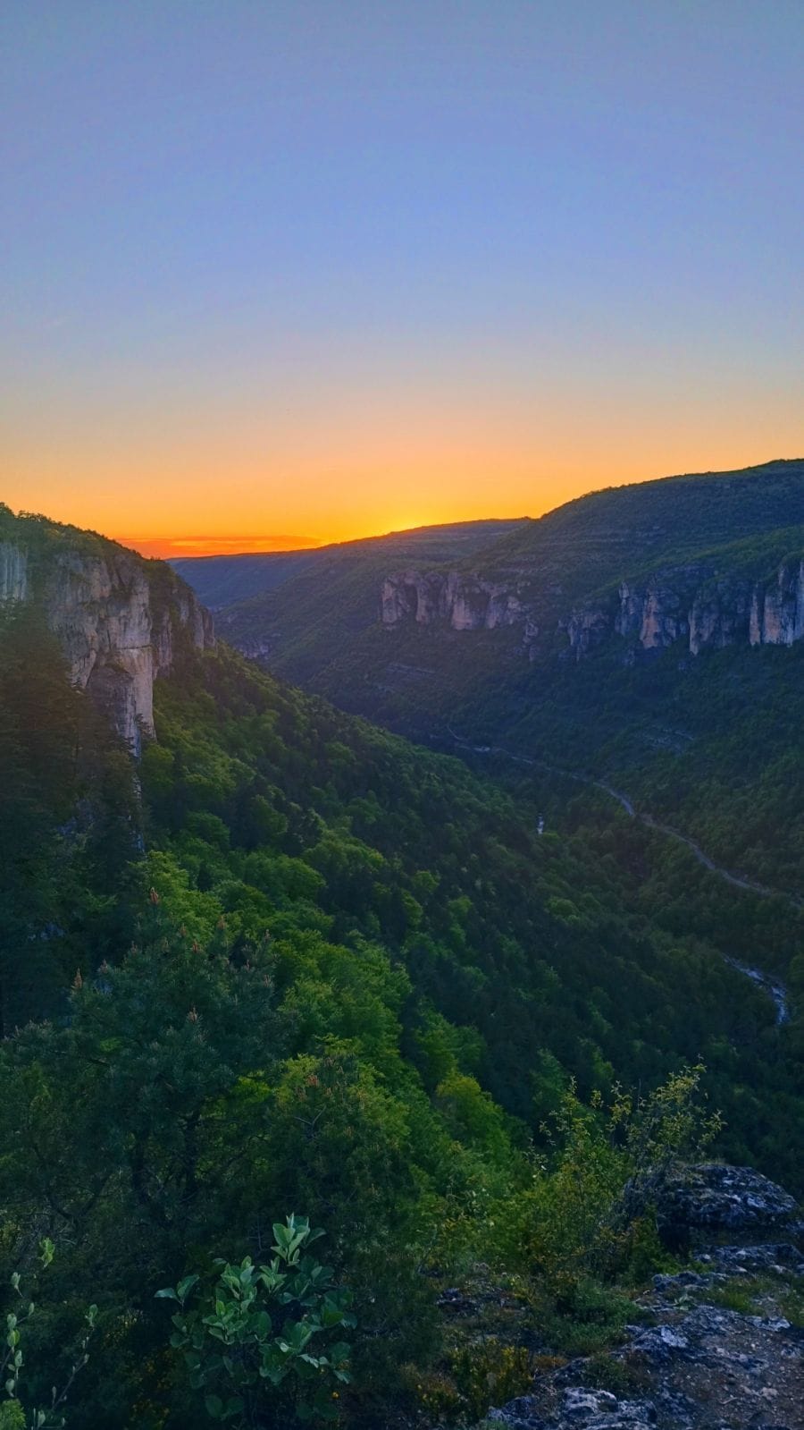 Perfil de Pierre-mary